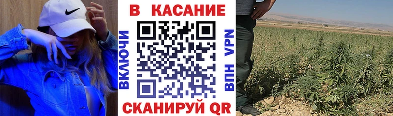 Хочу наркоту Приозерск Гашиш МАРИХУАНА МЕФ