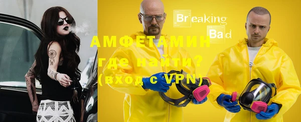 стафф Гусев