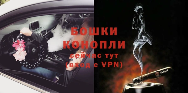 стафф Гусев