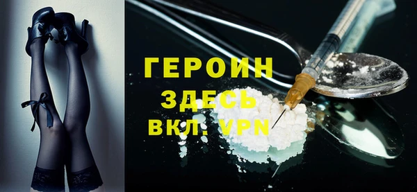 стафф Гусев
