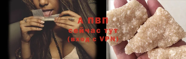 стафф Гусев