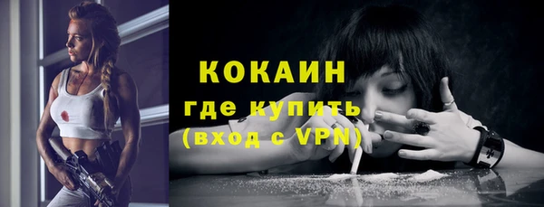 стафф Гусев