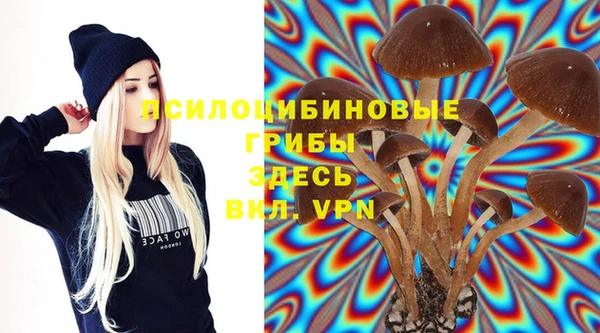 MDMA Гусь-Хрустальный