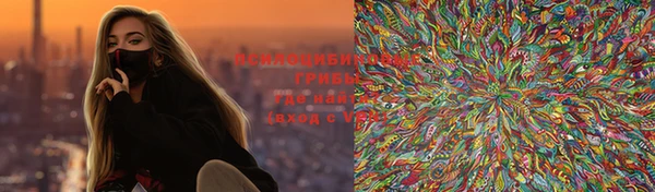стафф Гусев