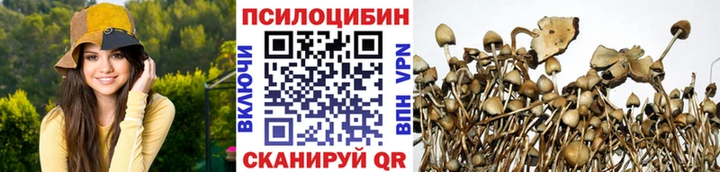 даркнет сайт kraken онион Галлюциногенные грибы ЛСД Приозерск